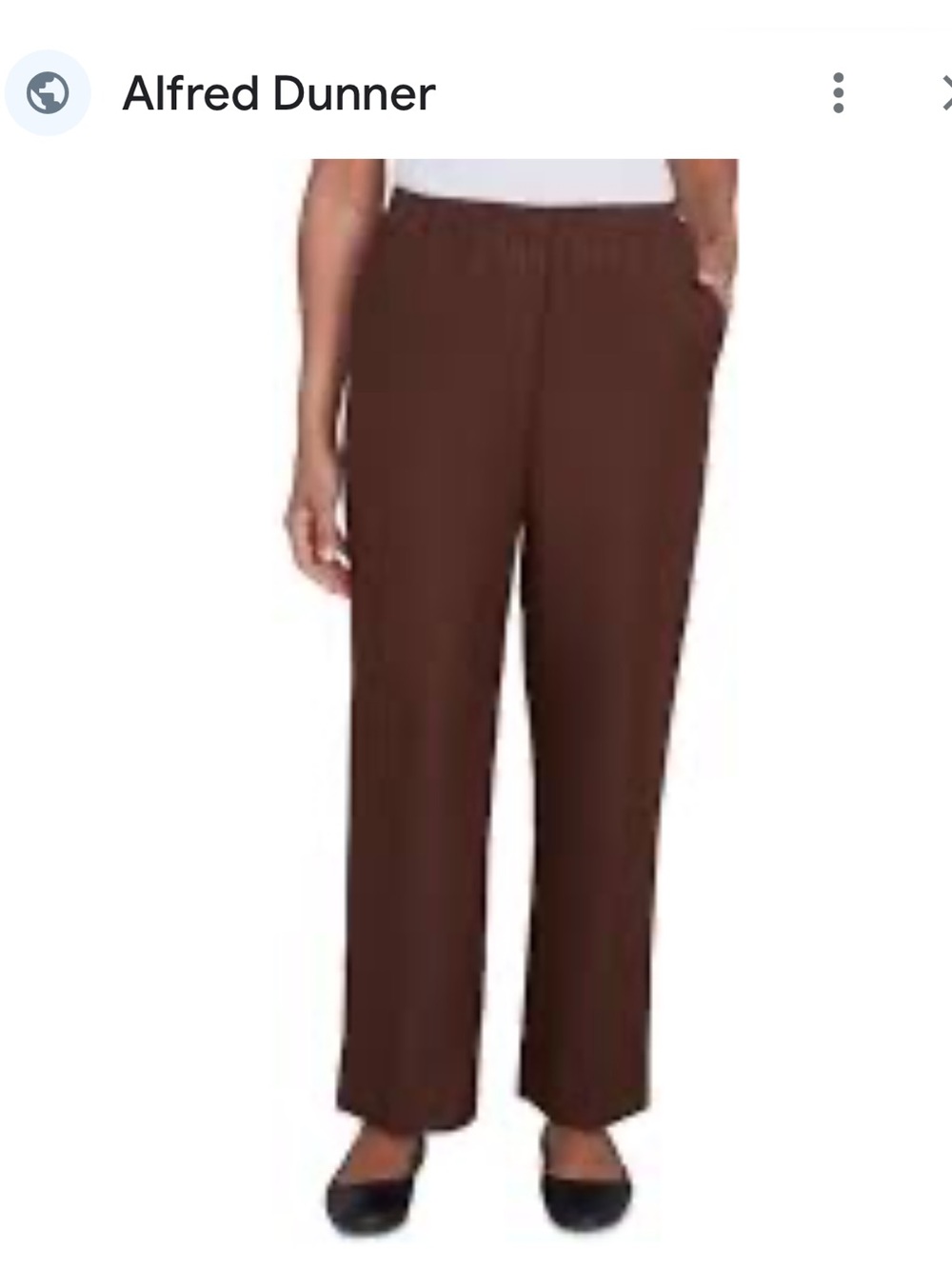 Alfred Dunner Brown Pull on Pant with slant Pockets  Size 14P